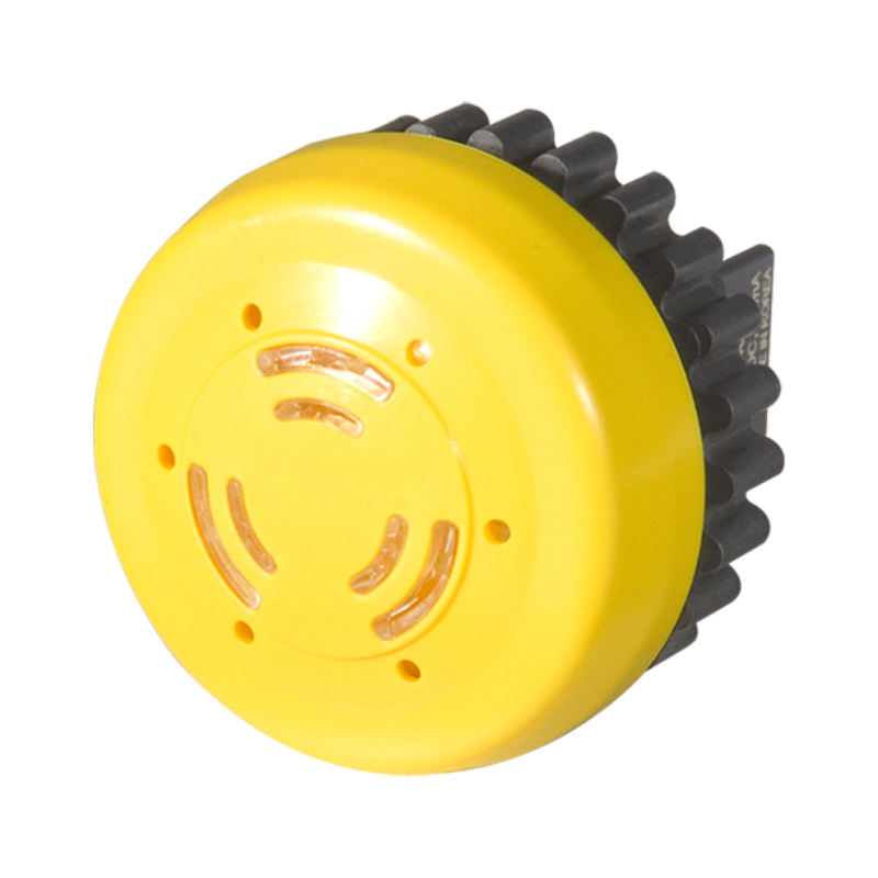 b2pb b1d 875x1000
