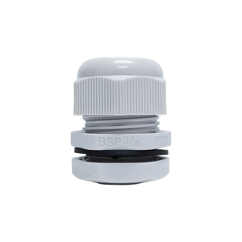 bsp 3 4 alfabot